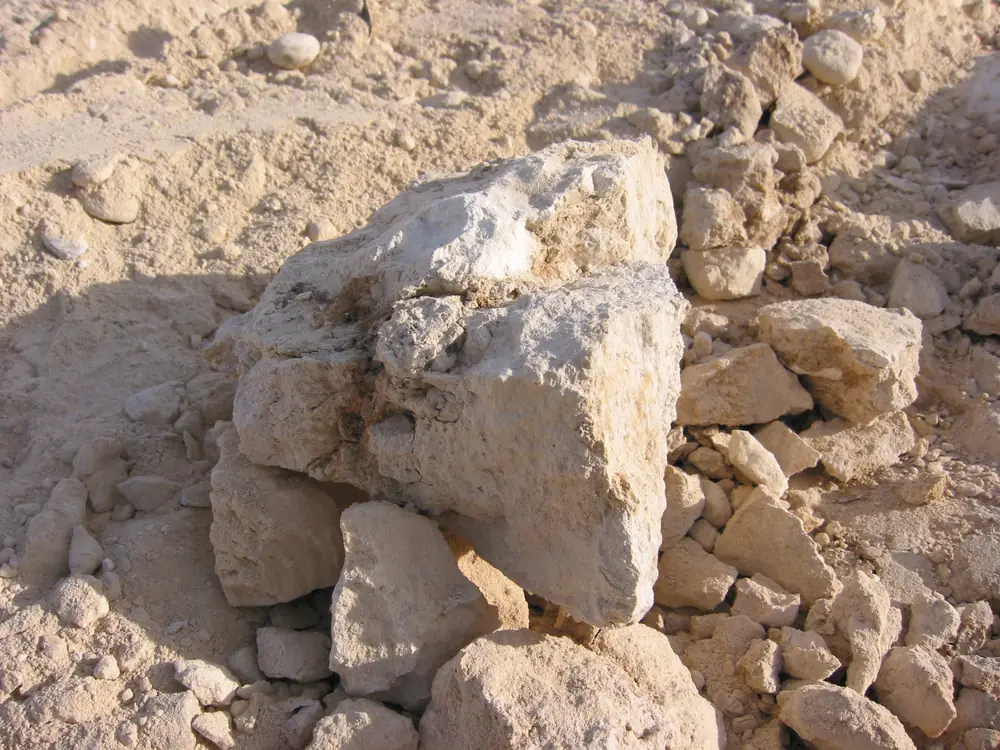Pale broken chunks of caliche, calcium carbonate cemented soil, lying in loose desert dirt