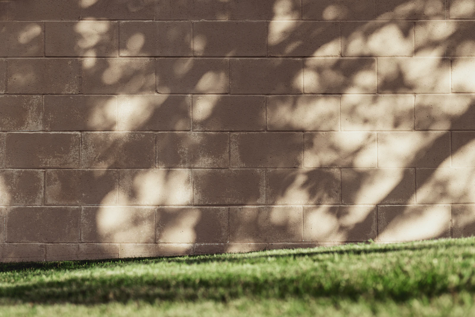 Block wall installation in Queen Creek AZ